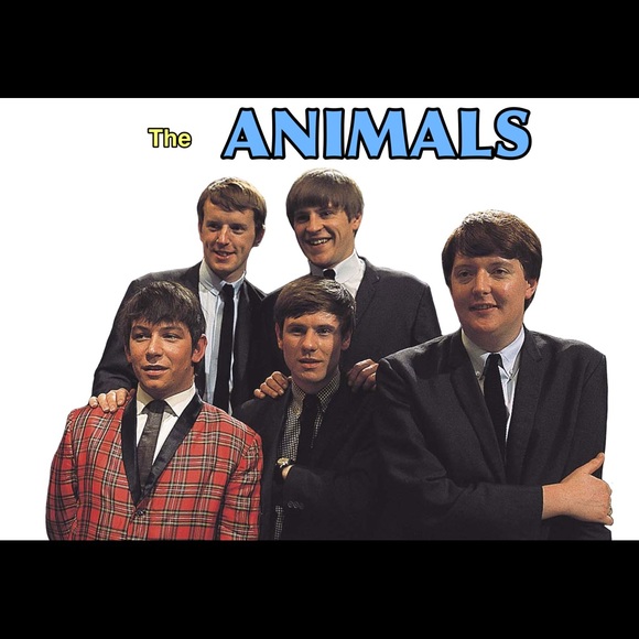 The Animals cotton unisex crew style graphic tee shirt - Picture 10 of 11